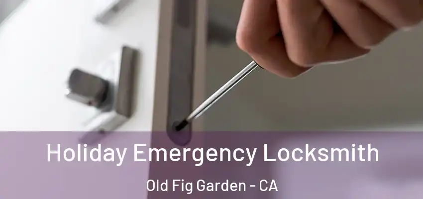  Holiday Emergency Locksmith Old Fig Garden - CA